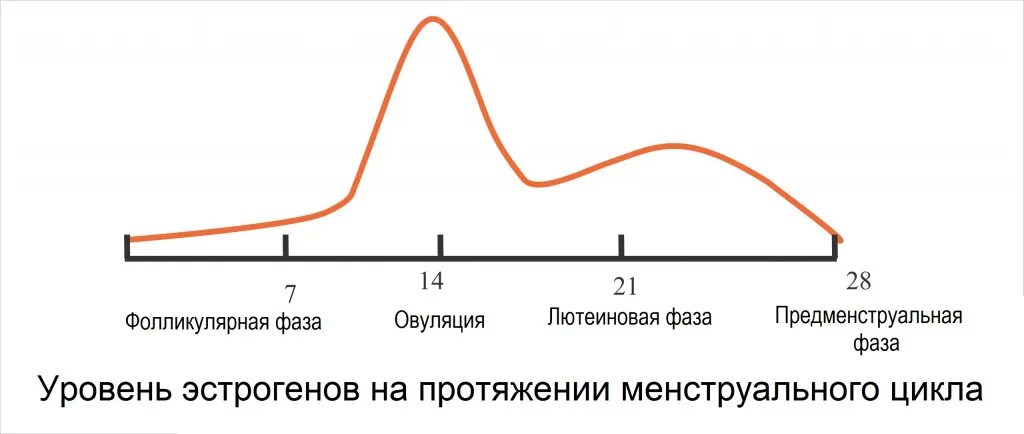 Женские половые гормоны в 1 фазу менструального цикла. Фазы цикла фолликулярная овуляторная лютеиновая. Фолликулярная фаза менструационного цикла. Гормоны по фазам цикла график. Как меняется фаза