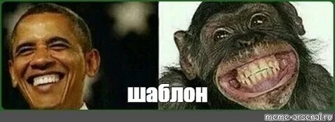 Обезьяна чи чи продавала кирпичи песня