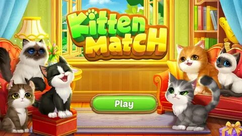 Kitten Match - YouTube.