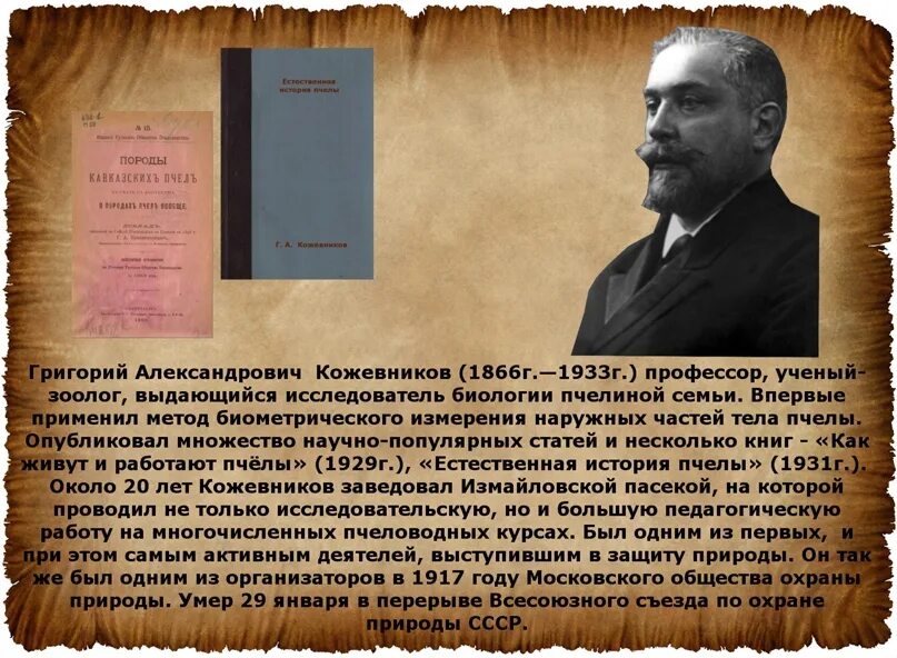 Появление севастополя связано с именем григория александровича. Профессор г.а Кожевников.