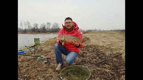 Ива рыбное хозяйство