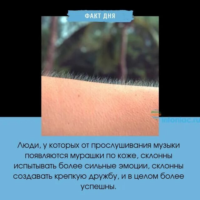 Мурашки в висках. Мурашки в висках