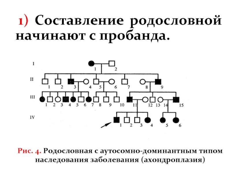 Составьте родословную по данным анамнеза