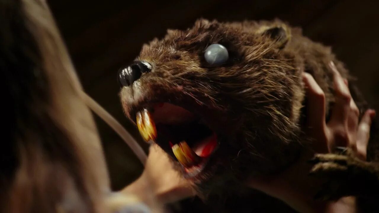 Рэйчел мелвин zombeavers. Бобры зомби 2014 обложка. Бобры 2014. Бобры 2014. Рэйчел мелвин бобры зомби.