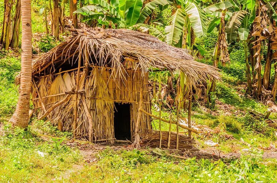 Люди живущие в экваториальном климате. Хижины индейцев Южная Америка. Хижины из бамбука и тростника в Таиланде. Хижина пигмеев. Коста Рика люди Хижина.