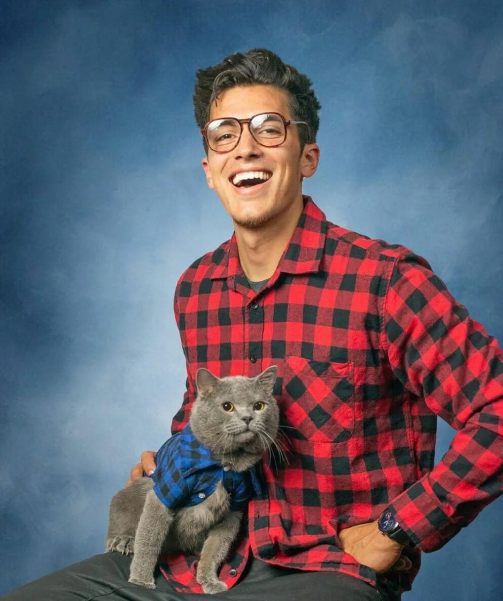 Mike cat. Mike cat