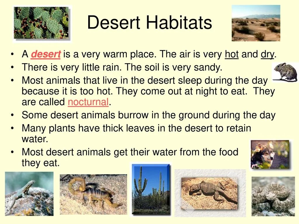 We should animals habitats