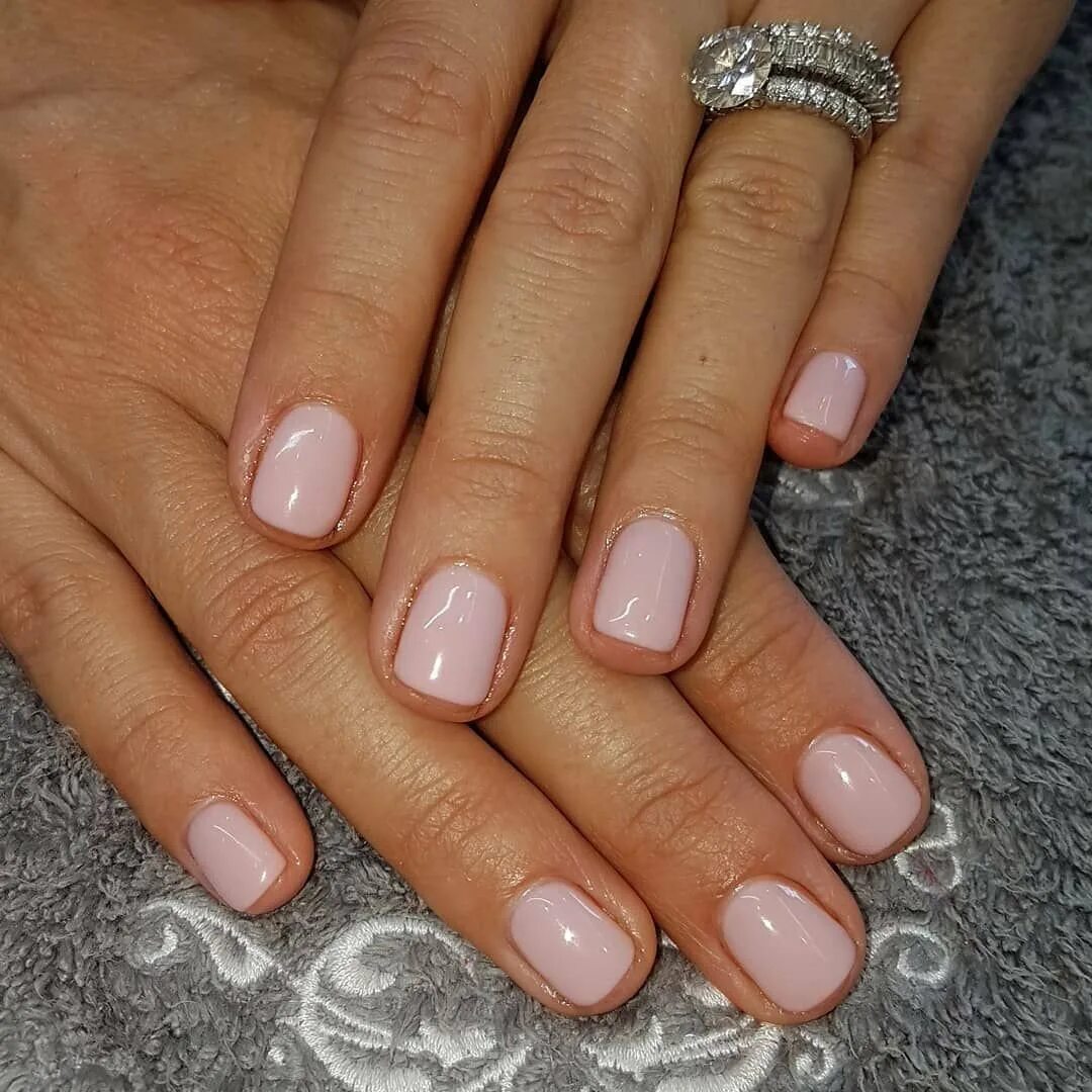 шеллак френч омбре. маникюр шеллак френч. маникюр шеллак френч. френч маникюр. шеллак френч.