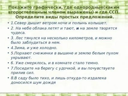 Лес тянулся на несколько километров и можно