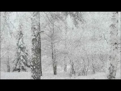 Шум зимней вьюги