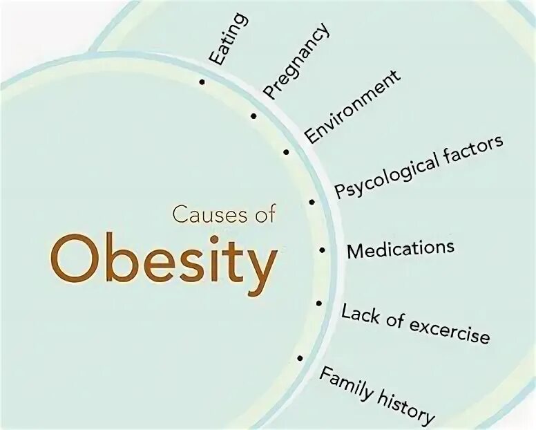 What is obesity. Causes of obesity. Causes of obesity. Obesity causes. Causes and consequences.