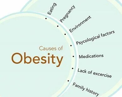 Main factors