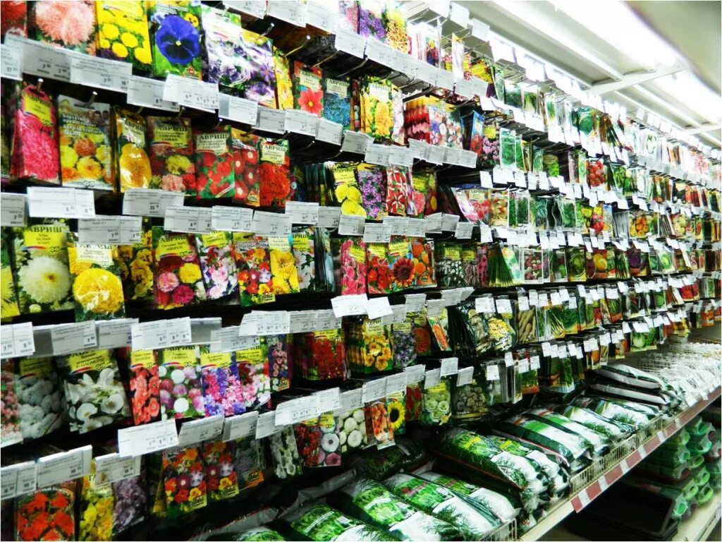 Семена овощей. Набор семян семена. Семена овощей. Семена овощей по оптовым ценам. Набор семян овощи.