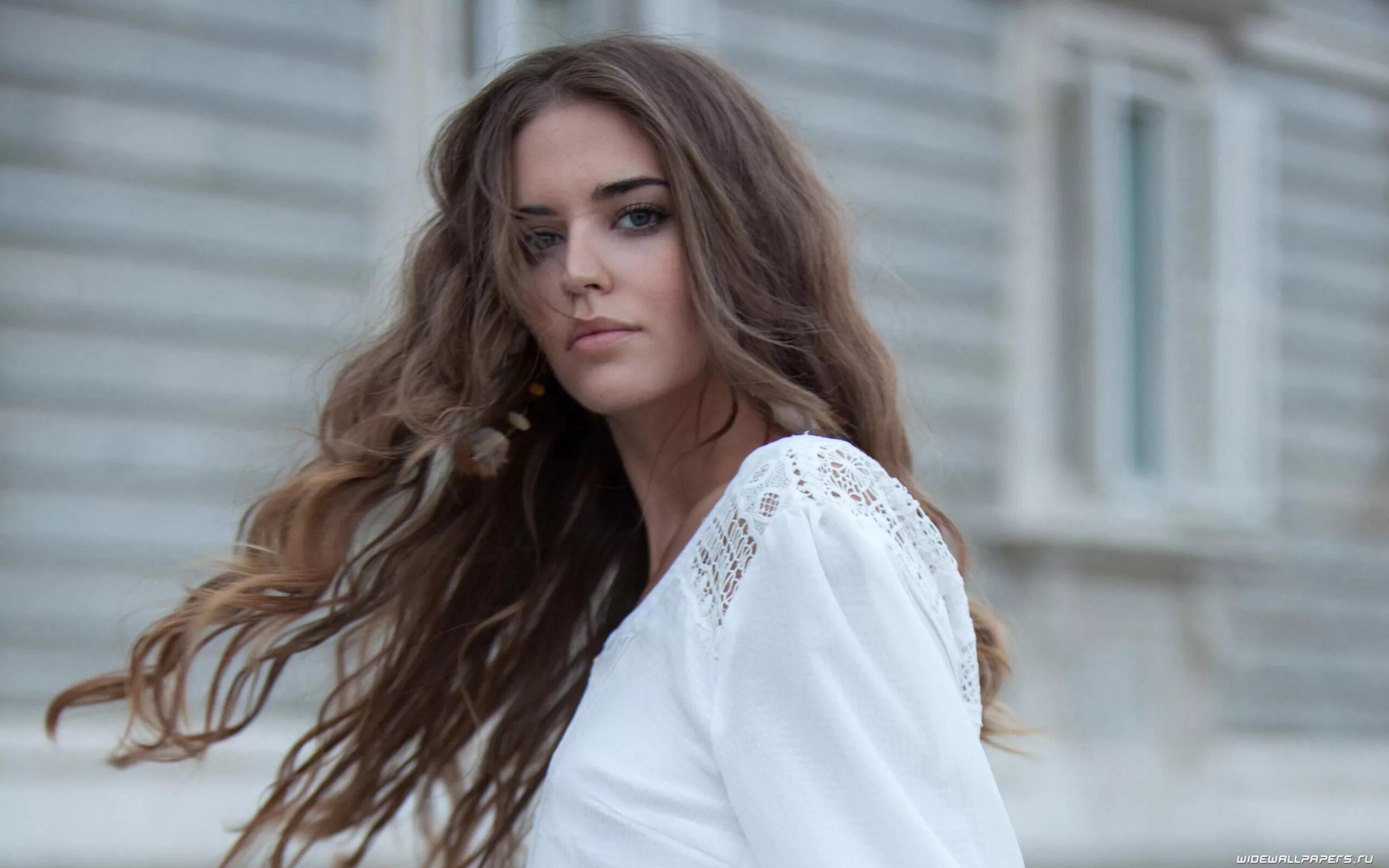 Clara. Clara. Clara. Clara. Clara.