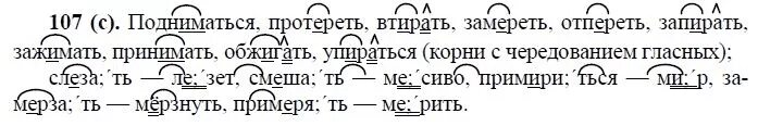 Русский язык 10 класс номер 56. Русский язык 10-11 класс рыбченкова. Русский язык 10 класс рыбченкова. Русс яз 10 класс чердаков.