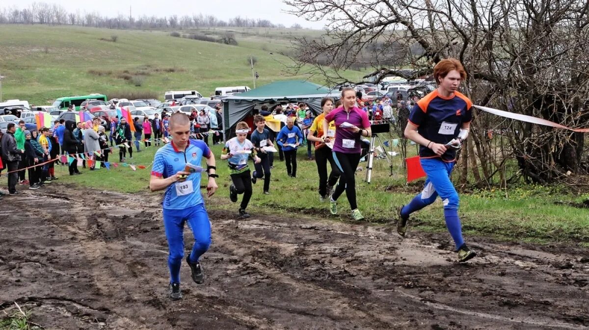 Спортивное ориентирование павловск. Спортивные соревнования. спортивное ориентирование. спорт соревнования. день спорта.