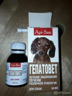 Собаки для поддержания печени