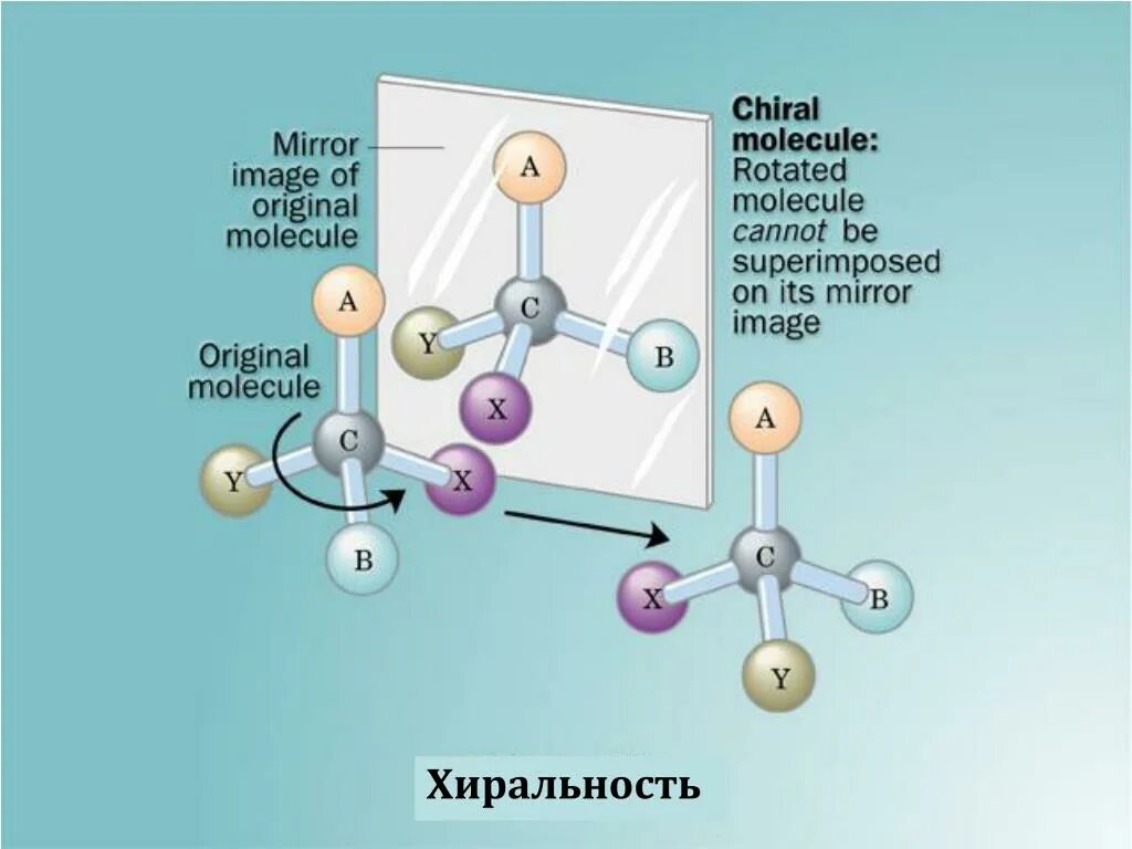 Хиральность это. Хиральные молекулы аминокислот. хиральные центры аминокислот. хиральность молекул. хиральная молекула.