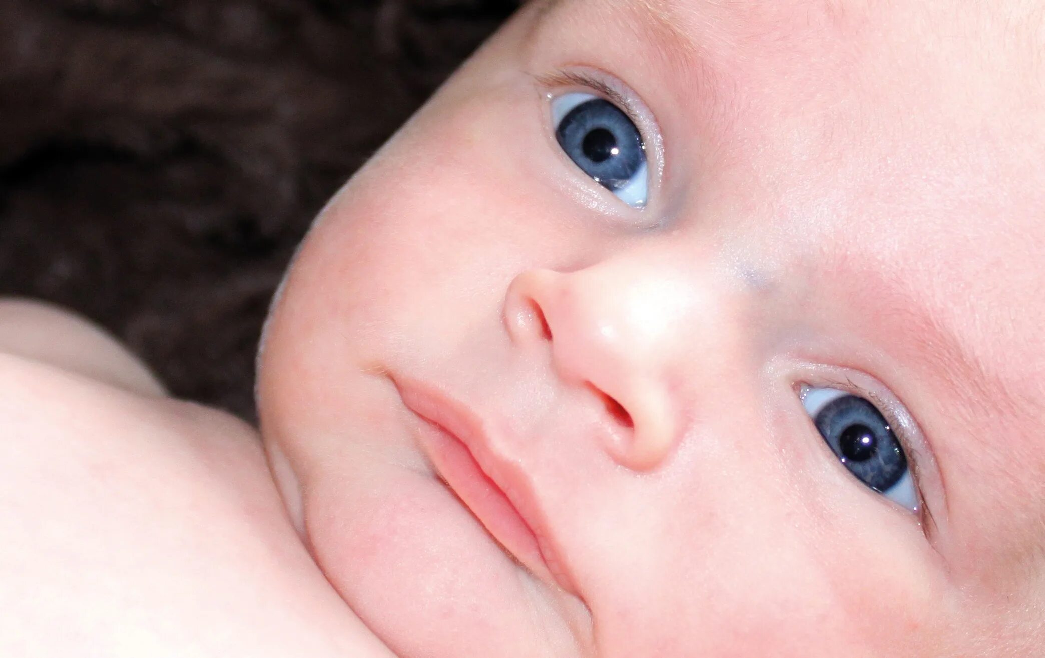 Baby eye песня. Глаза новорожденного. Цвет глаз у новорожденных. Синие глаза у младенца. Синие глаза у наворождёног.