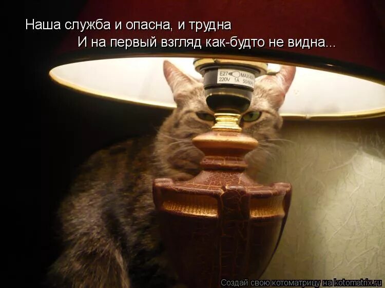 наклейки надписи. стыдно. я тебя вижу мем. не виден ю. ничего не видно мем.