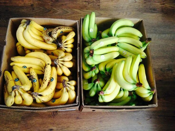 The little banana