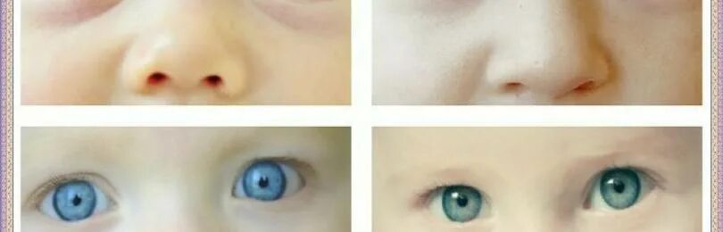 Процент рождения глаз