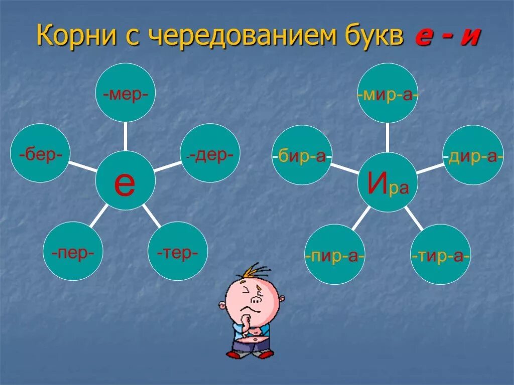 Кластер корень. Кластер корней с чередованием. Кластер корни с чередованием. Кластер на тему чередующиеся корни. Кластер по теме:"правописание корней с чередованием"..