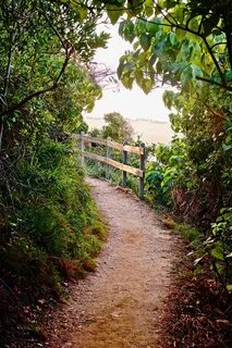 Path track
