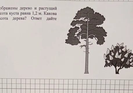 На рисунке изображено дерево некоторого случайного опыта