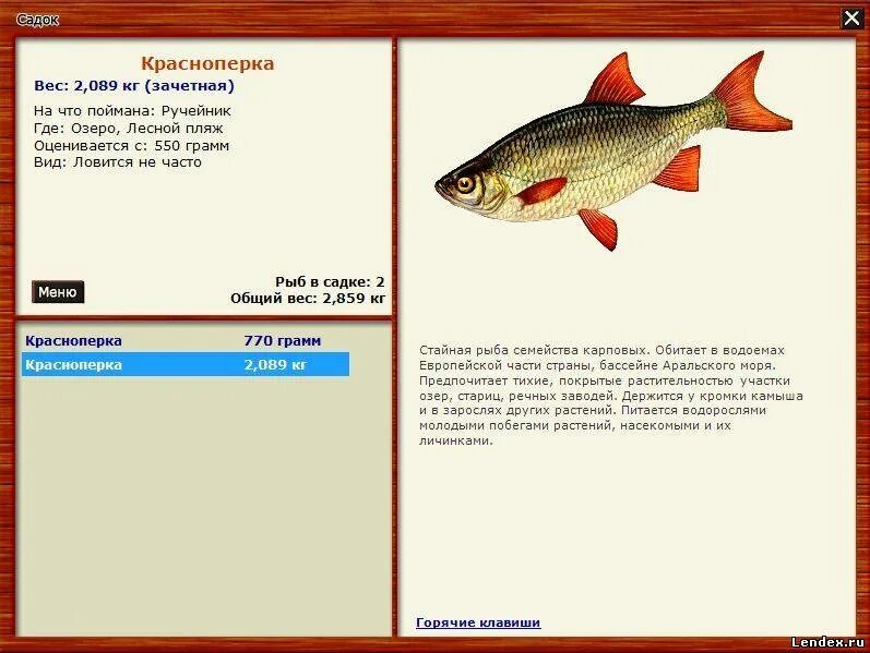 Реальная рыбалка лесное озеро на что ловить. Красноперка реальная рыбалка. На что ловится красноперка. Дема плотва русская рыбалка. Дема квест красноперка.
