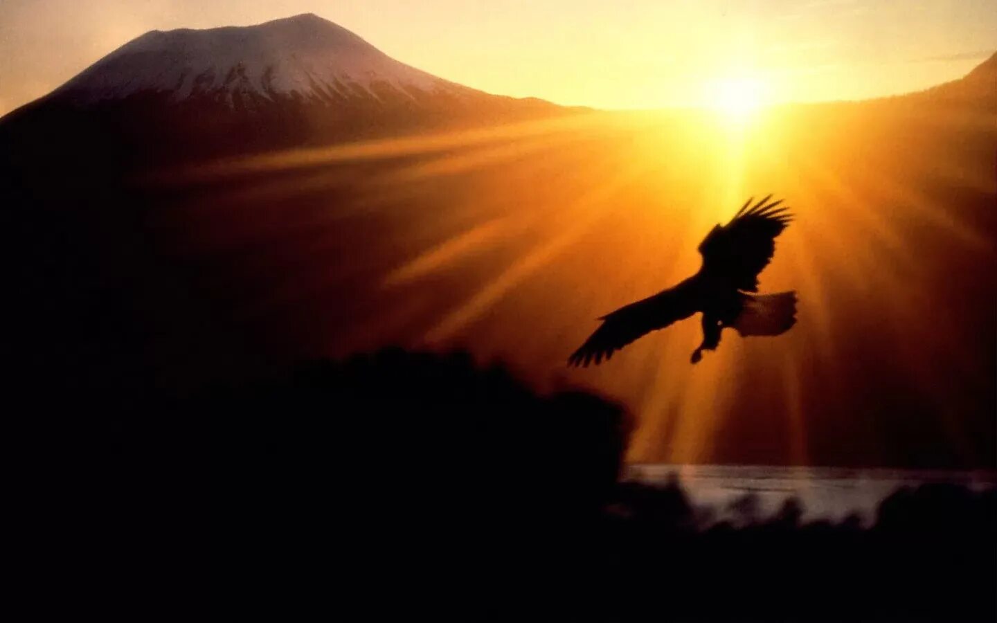 Полет птицы и полет человека. Полет птицы. Орел на закате. Птица над горами. Полет над горами.