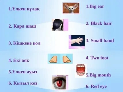 Ресейлік үй порносы оргазммен аяқталады