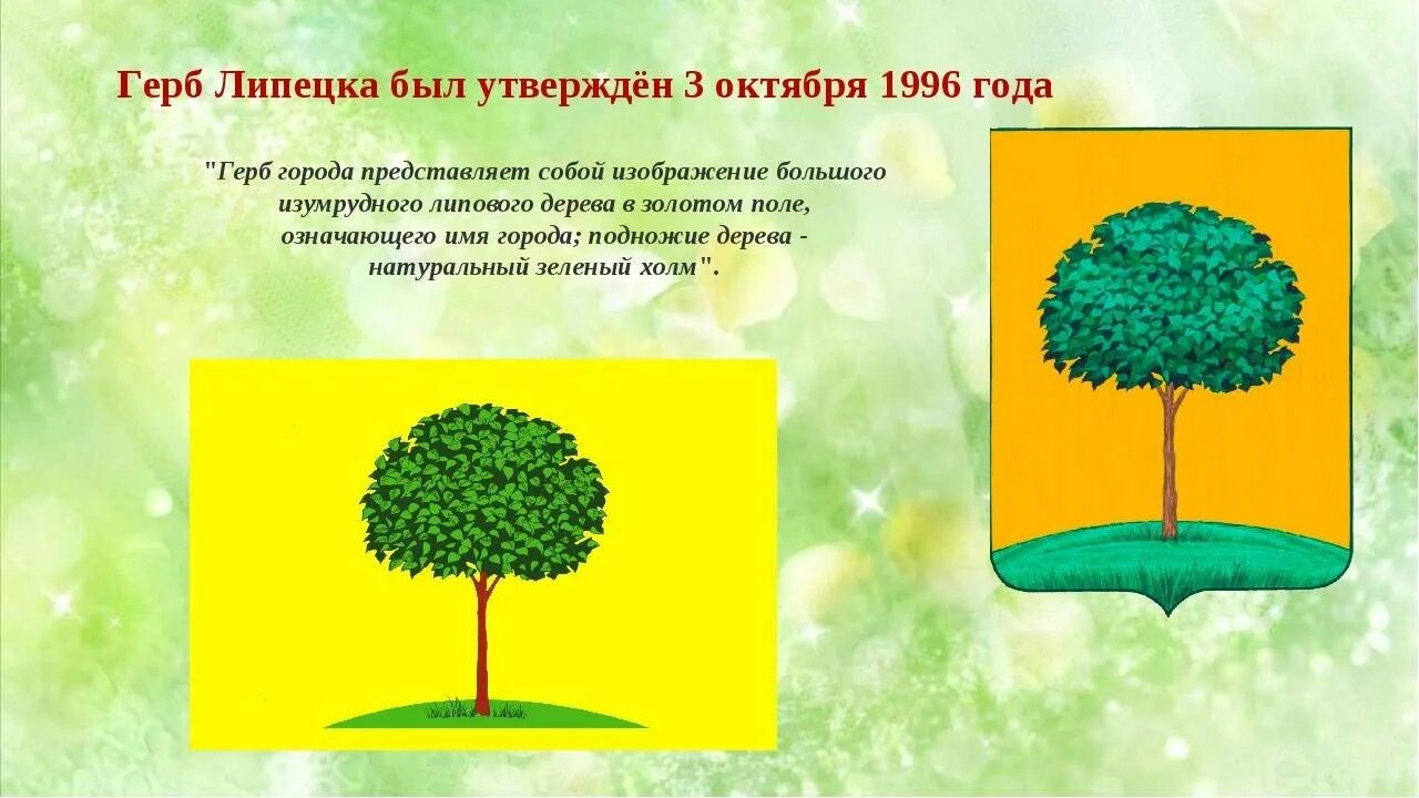 Какое дерево изображено