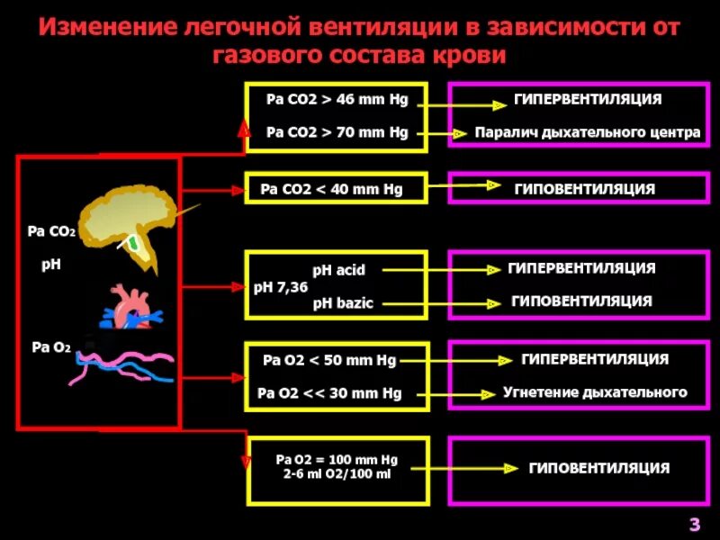 Вентиляционная дыхательная недостаточность газовый состав крови. Кислотно основное состояние при дыхательной недостаточности. Изменение газового состава крови. Изменения газового состава крови при дыхательной недостаточности.