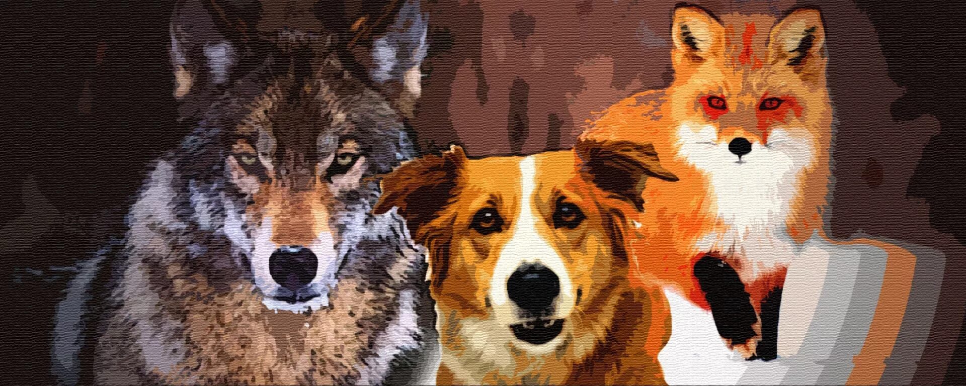 Лиса волк собака. Лисичка и волк. Лисы и волки. Дружба волка и лисы. Гривистый волк.