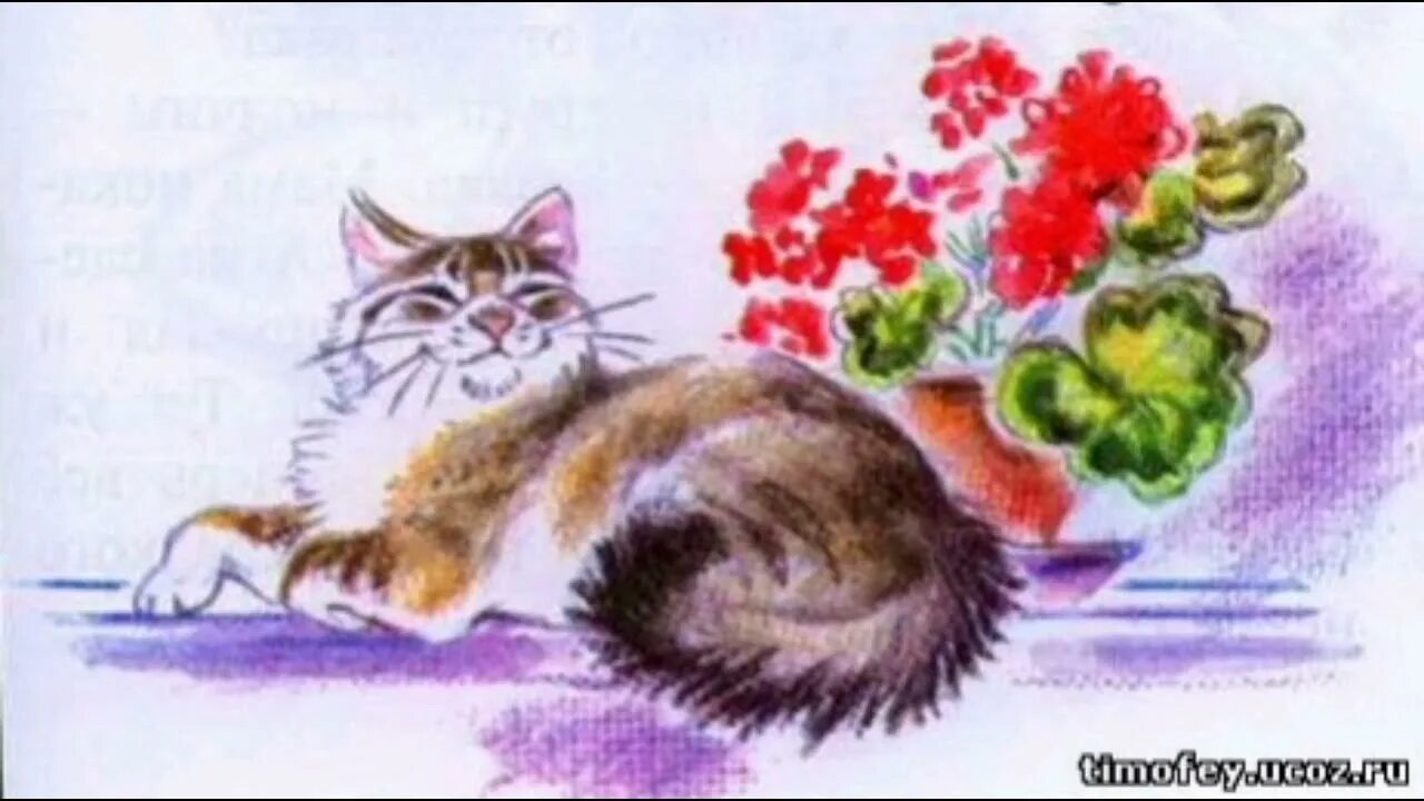 Рассказ скребицкого кот иваныч. Кот иванович скребицкий. г скребицкий кот иваныч. иллюстрация к рассказу кот иваныч скребицкого. георгий скребицкий кот иваныч.