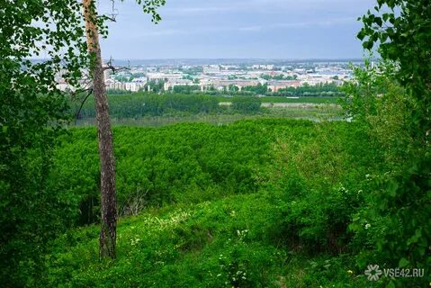 Кемеровский зон