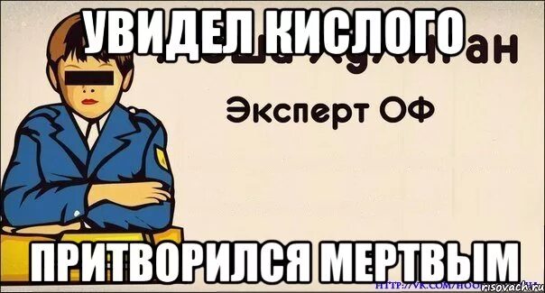 Что значит природа притворилась мертвой