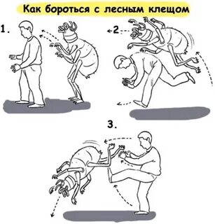Способы борьбы с клещами