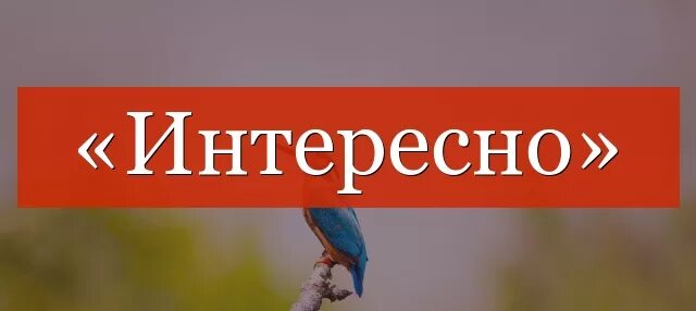 Обсудим пожалуйста. Интересно слово. Пожалуйста. Надпись пожалуйста. Пожалуйста картинки.