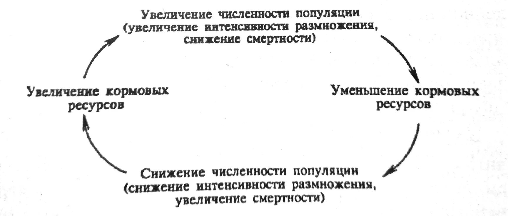 Схема саморегуляции численности популяции. Схема регуляции численности популяции. Регуляция динамики популяции. Механизм саморегулирования популяции.