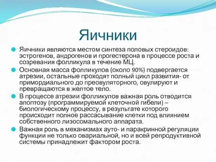 Является местом развития