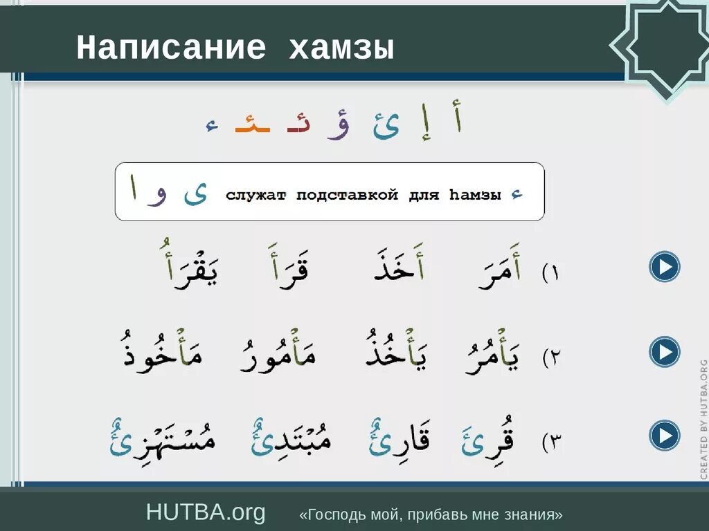 Буква Алиф с Хамзой. Арабский язык подставки для Хамзы. Правило Хамзы в арабском. Правописание Хамзы.