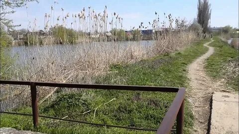 Погода в медведовской на 14 дней