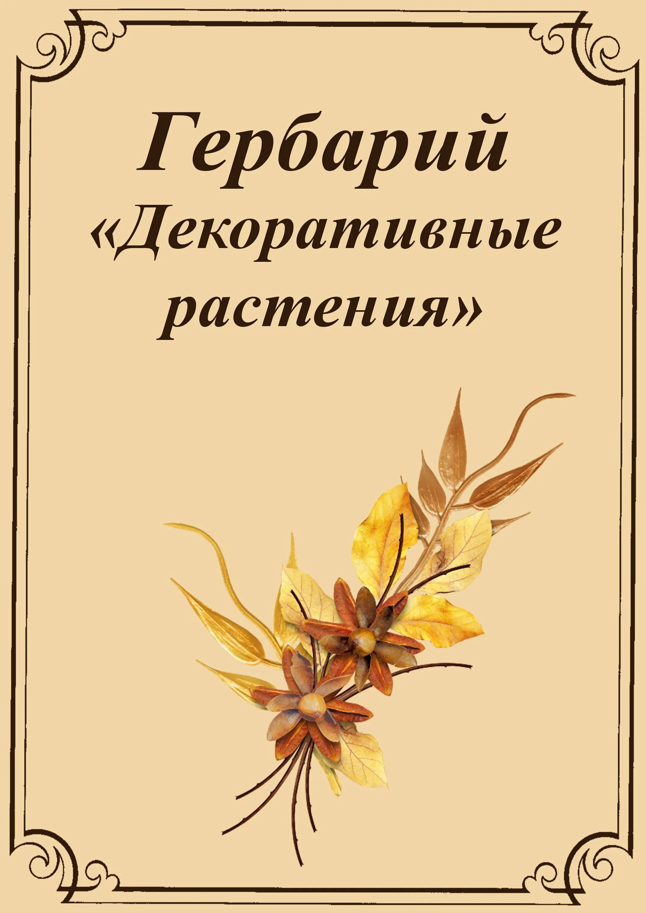 Гербарий титульный лист. Гербарий листья. Софора толстоплодная гербарий. Гербарий титульный лист. Гербарий листья.