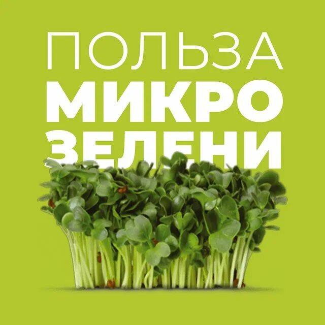 Какие витамины в микрозелени
