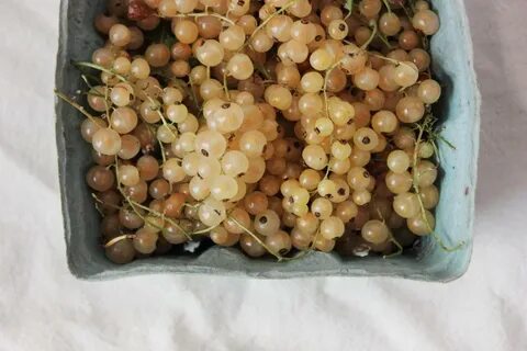Белая смородина заготовки на зиму