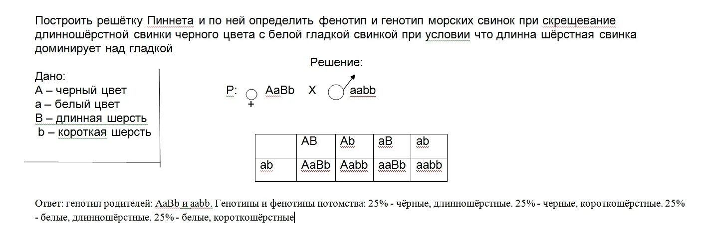 Определите фенотип растения томата с генотипом