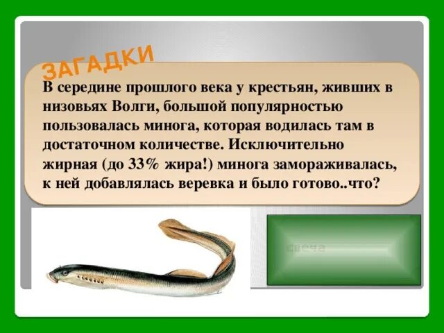 Сообщение о личинках миног. Минога рыба опасна для человека. речная минога. минога речная опасна для человека.