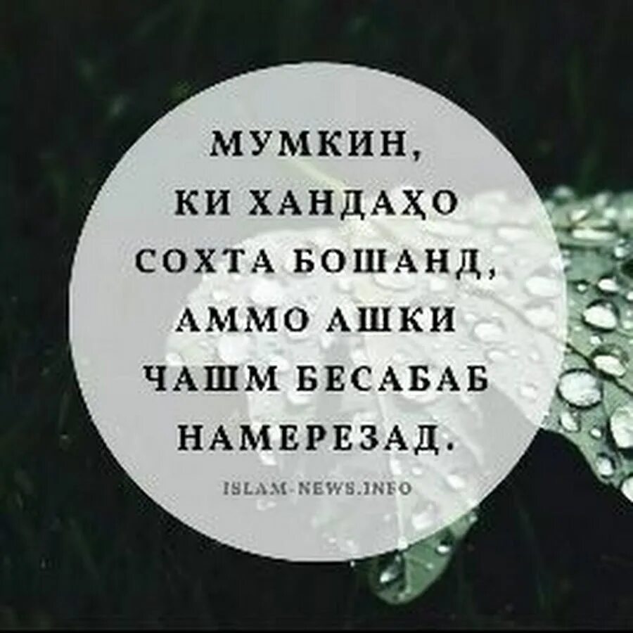 Картинка насихат. Панду хикмати зиндаги. Картинкахои панду насихат. Панду насихат точики. Панду хикмати бузургон.